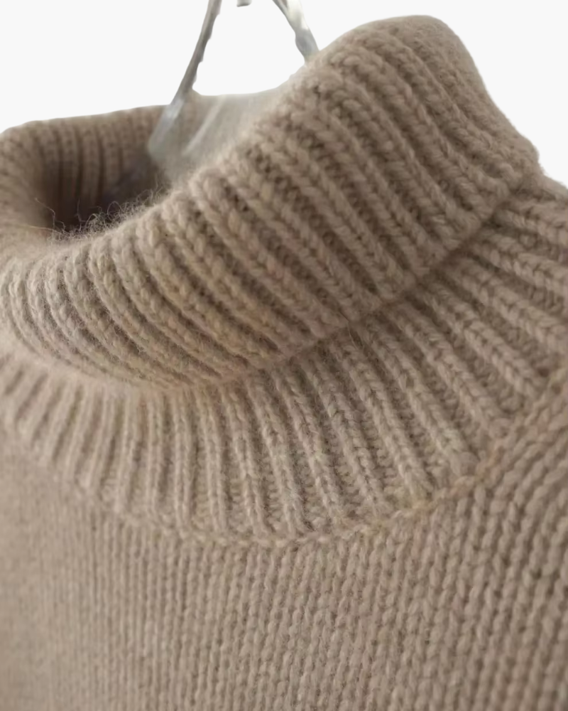 Pull doux Danoir Paris en marron avec col roulé haut, confort et style pour la mode automnale.
