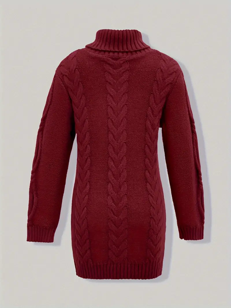 Robe turtleneck élégante Danoir Paris FR1031 en cramoisi, coupe ajustée et sophistiquée pour femme.